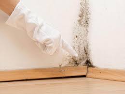 Best Mold Prevention Services  in Atlantic City, NJ